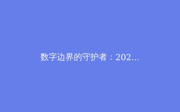 数字边界的守护者：2024年VPN技术与全球网络安全格局新观察 - 3