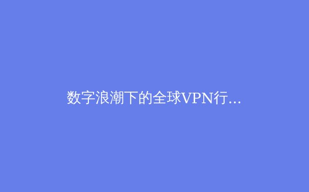 数字浪潮下的全球VPN行业变局：2024年隐私、法规与技术趋势深度解析 - 3