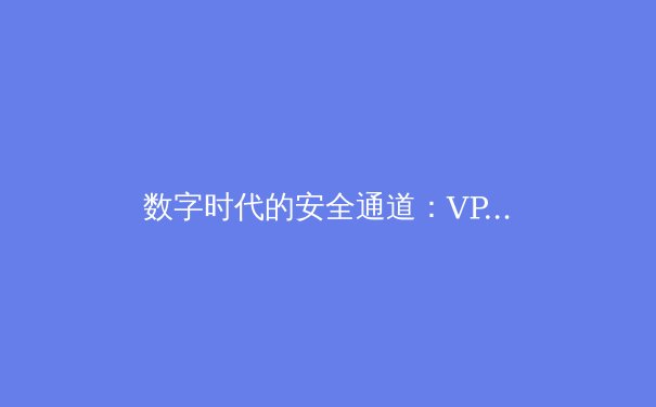 数字时代的安全通道：VPN技术的演变、挑战与未来展望 - 3